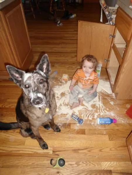 Cute babies who are naturally destructive - #12 