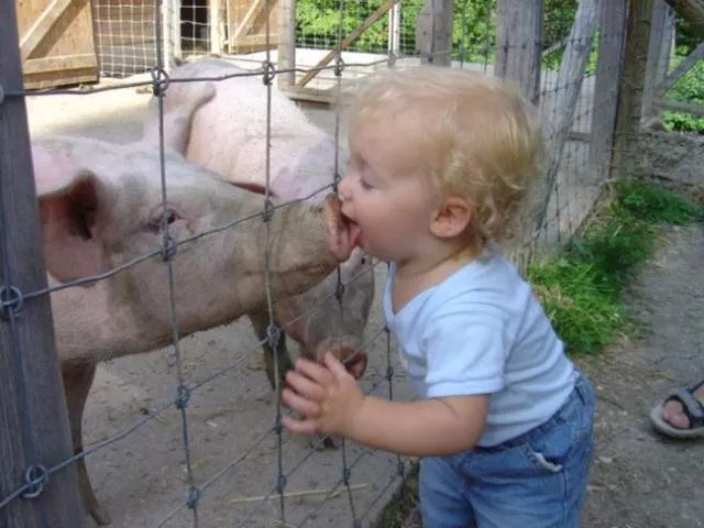 Bebes mignons mais destructeurs par nature - #22 