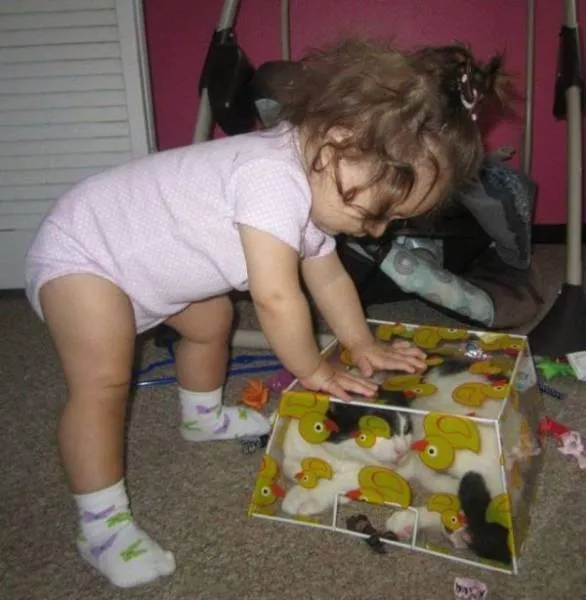 Cute babies who are naturally destructive - #25 