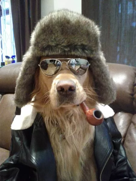 Picdump 310 - #1 