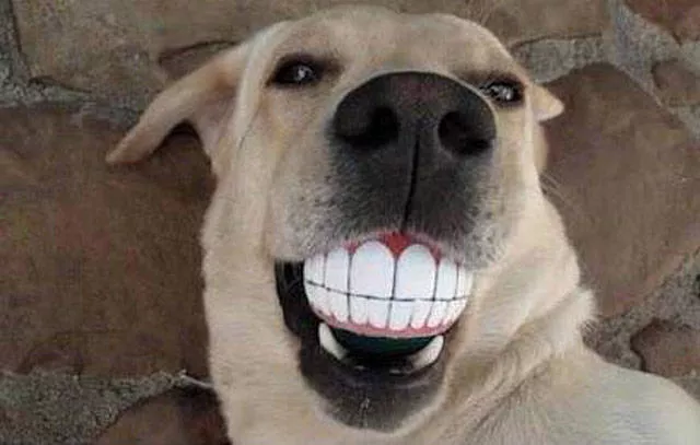Picdump 310 - #4 