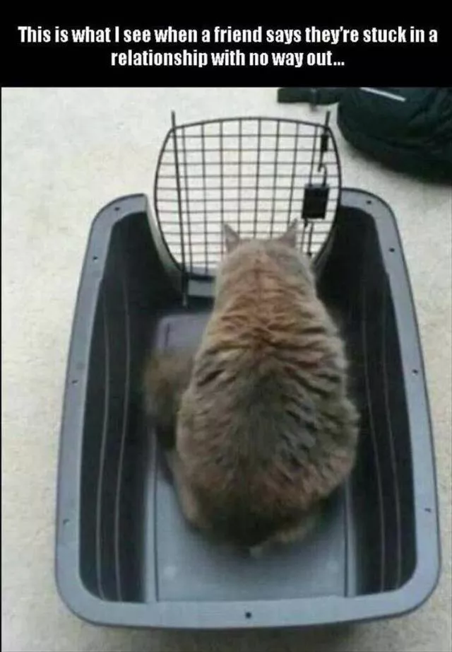 Picdump 57 - #31 