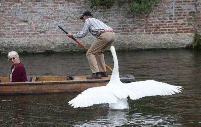 Picdump 57 - #47 