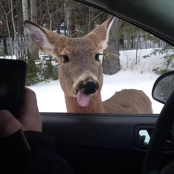Picdump 57 - #55 