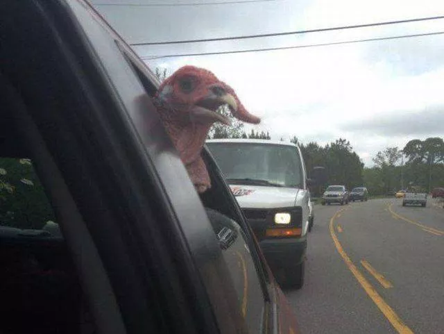 Picdump 57 - #65 