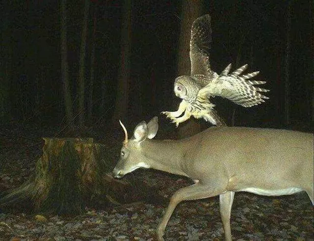 Picdump 57 - #76 