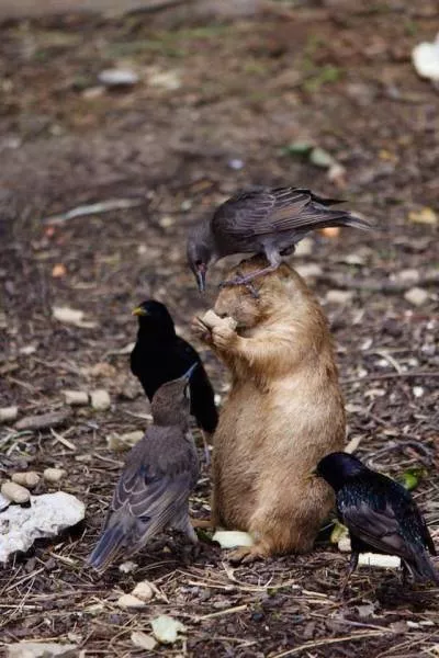 Picdump 57 - #80 
