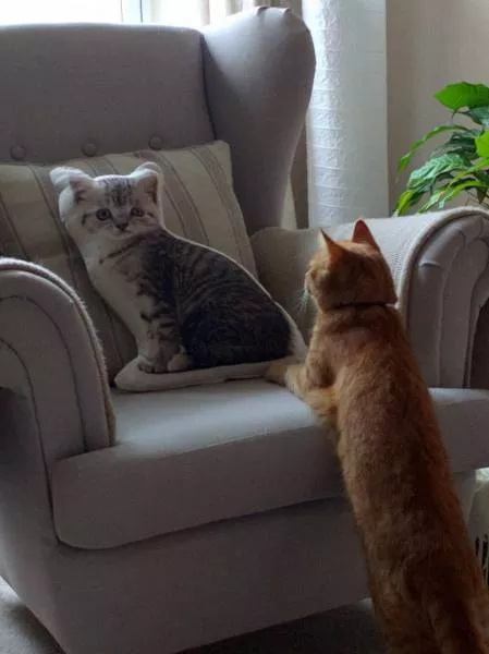 Picdump 57 - #83 