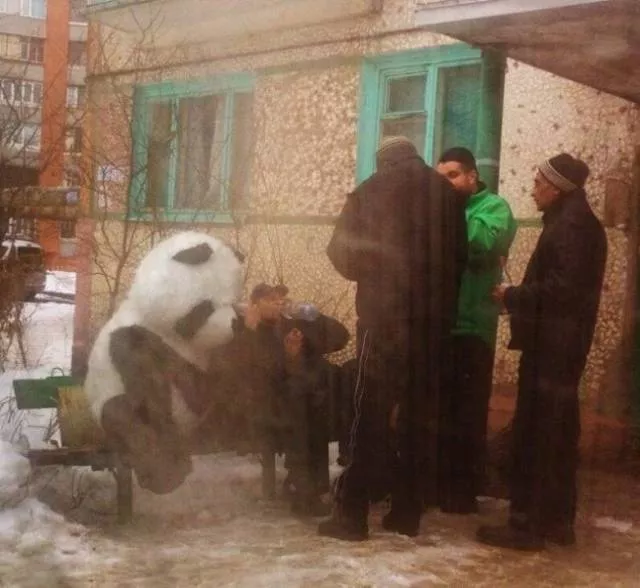Le comportement bizarre des russes - #2 
