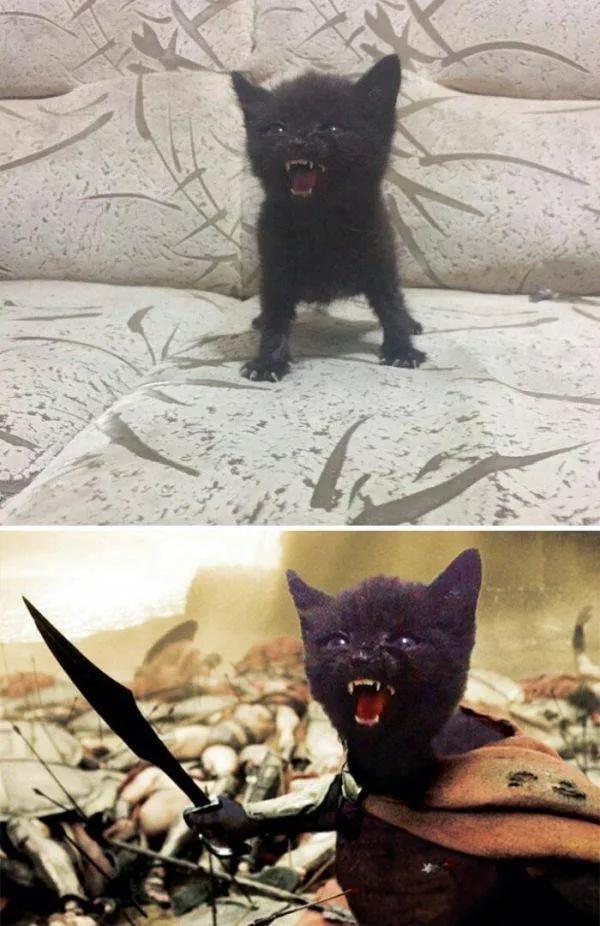 Des creations incroyables avec photoshop - #10 