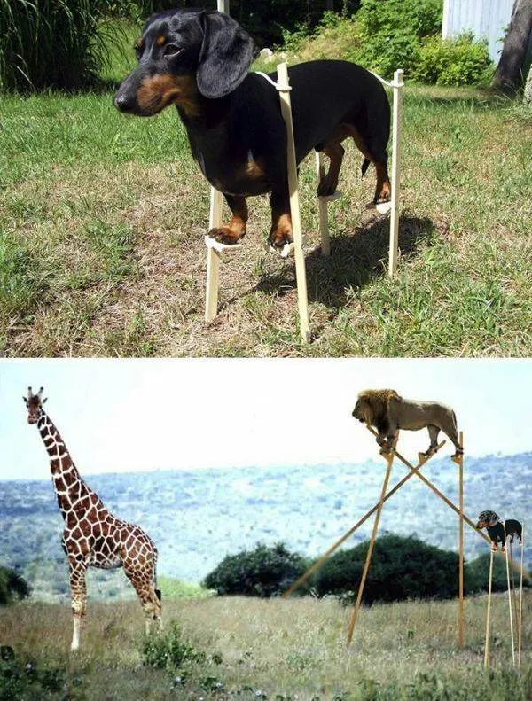 Des creations incroyables avec photoshop - #11 