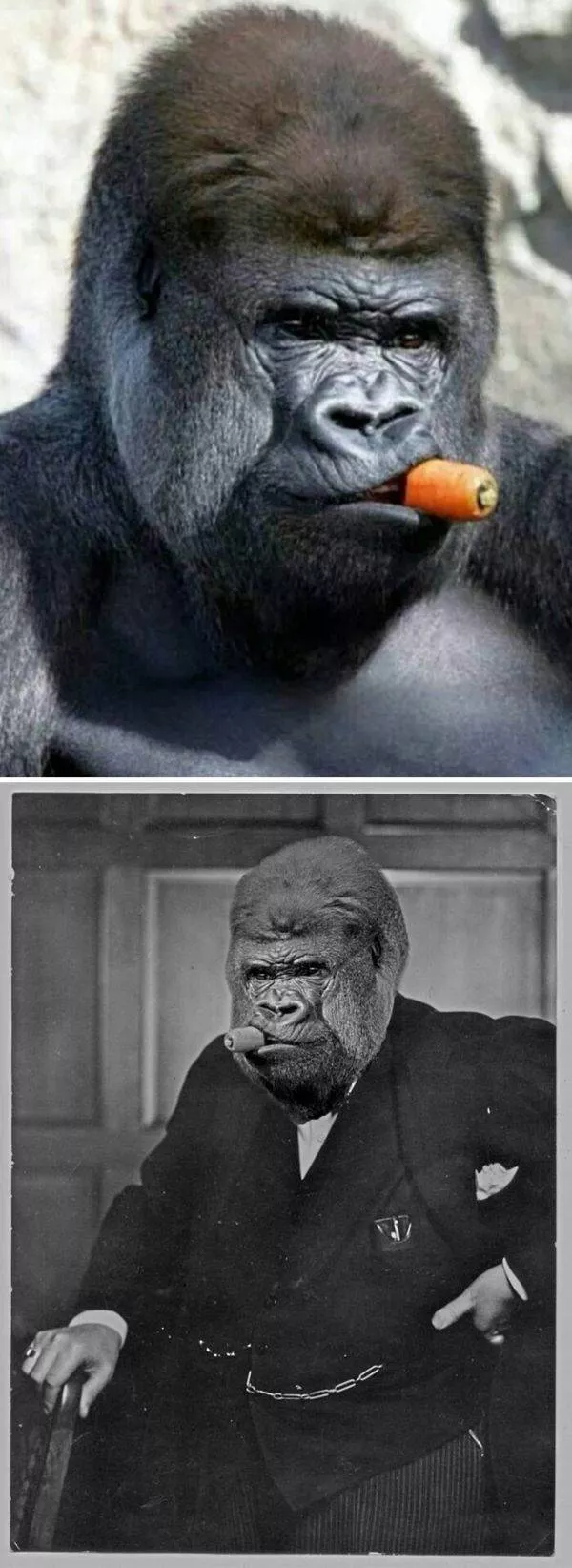 Incredible creations with photoshop - #12 