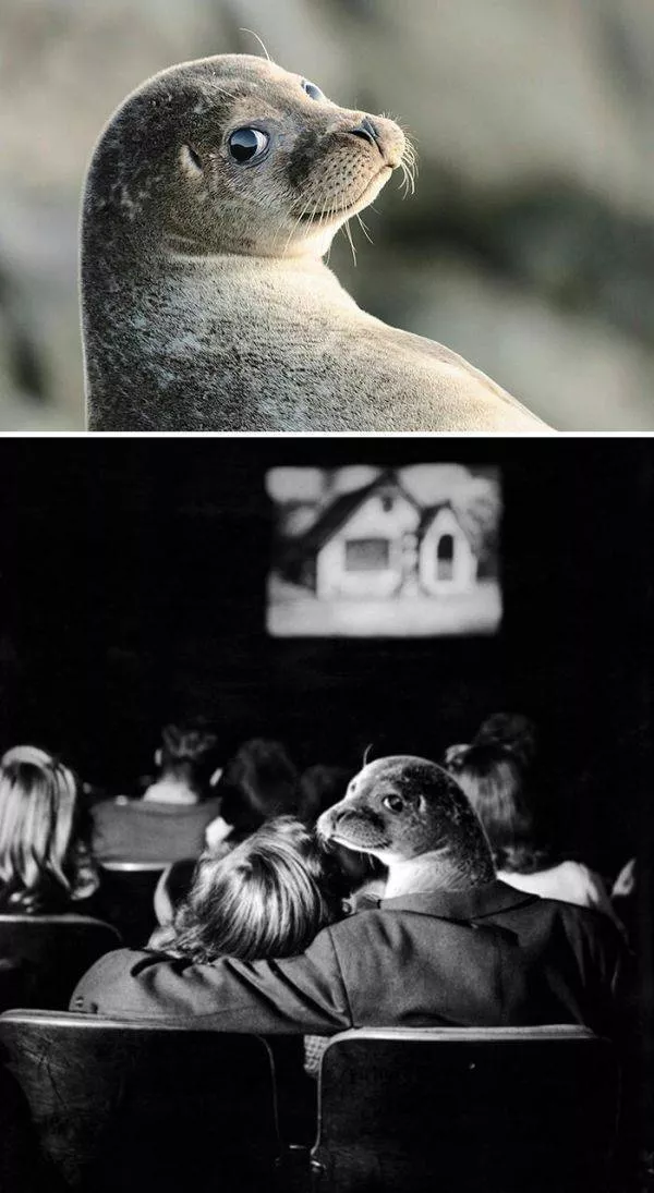 Incredible creations with photoshop - #6 