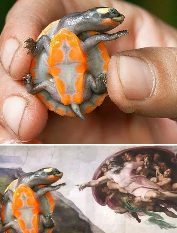 Des creations incroyables avec photoshop - #9 