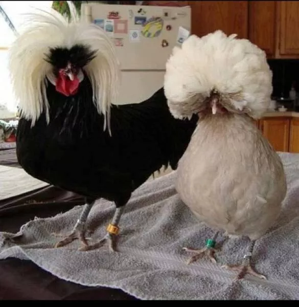 Picdump 312 - #45 