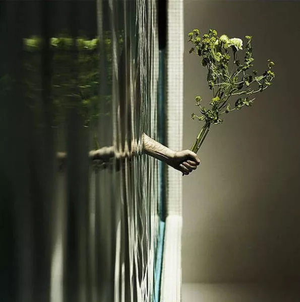 Fascinating optical illusions - #55 