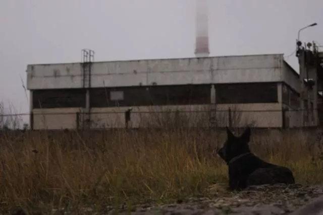 It looks like the apocalypse - #17 