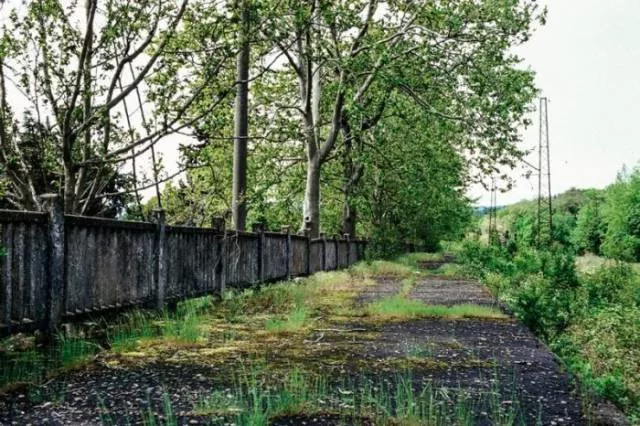 It looks like the apocalypse - #18 