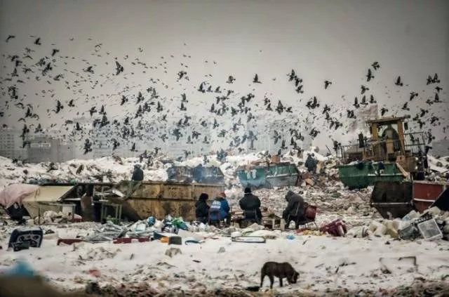It looks like the apocalypse - #20 