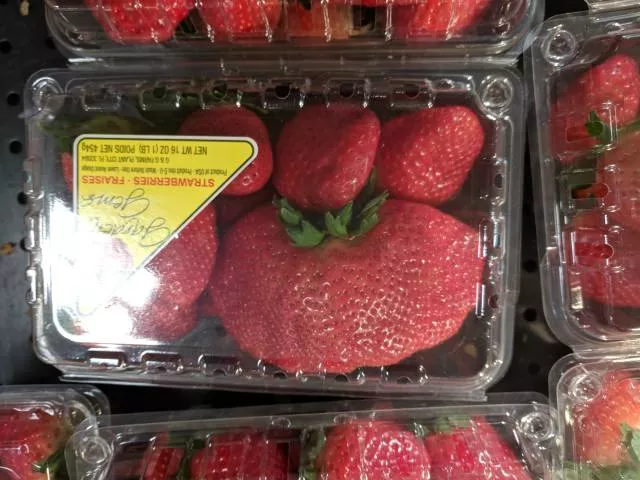 Picdump 313 - #25 
