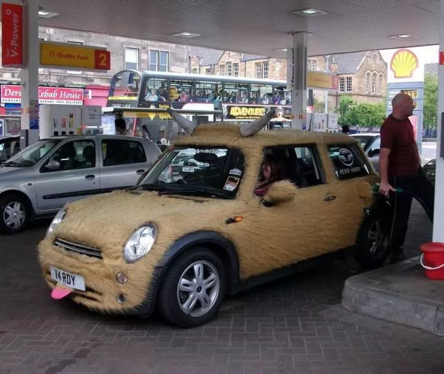 Picdump 314 - #4 