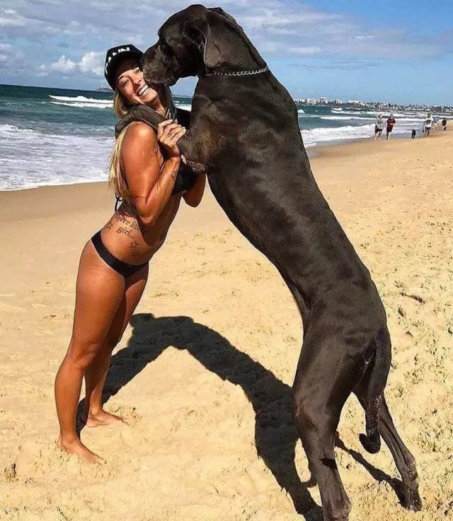 Picdump 314 - #41 