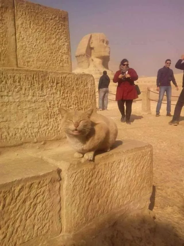 Picdump 314 - #48 