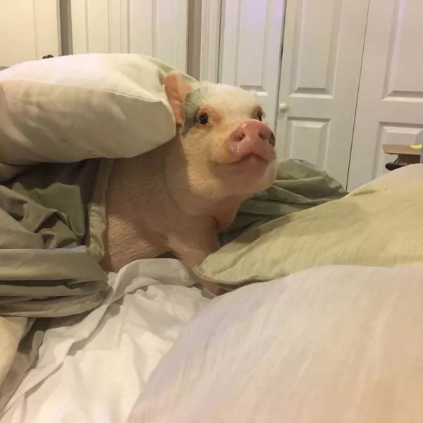 Picdump 314 - #51 