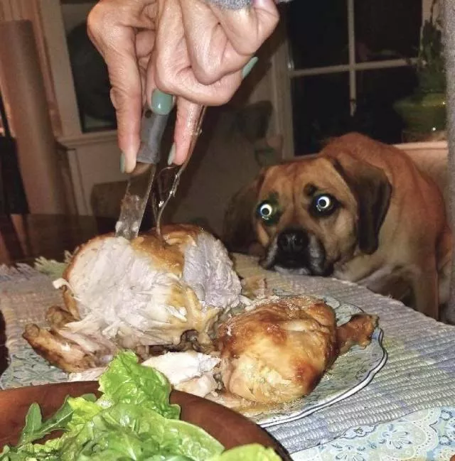 Picdump 314 - #55 