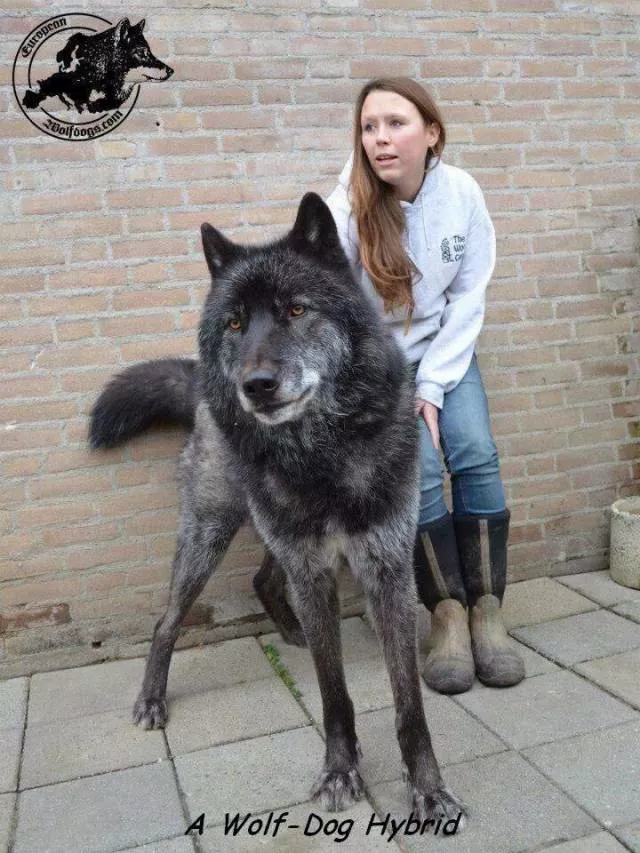 Picdump 314 - #6 