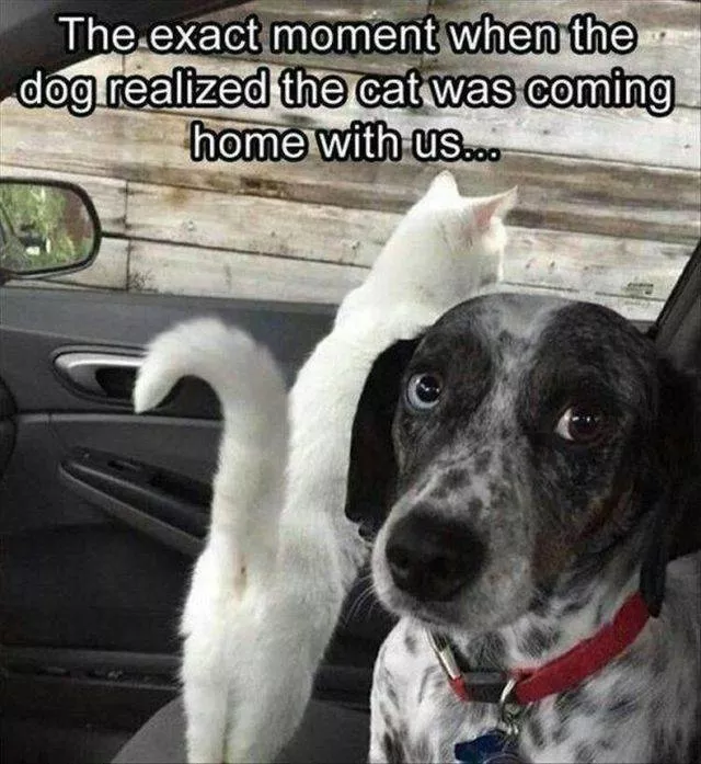 Picdump 314 - #68 