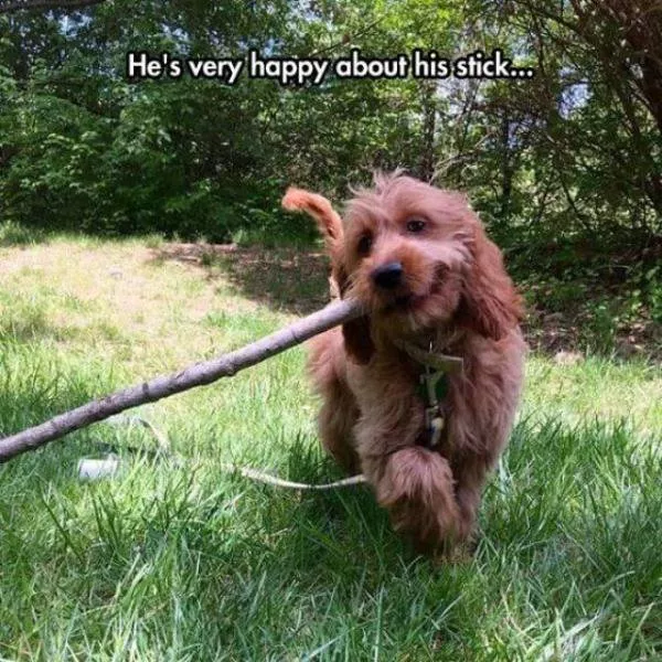 Picdump 314 - #80 