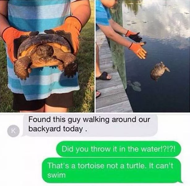 Next level sht