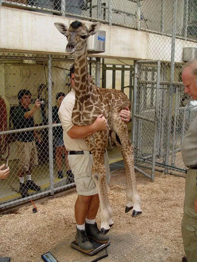 Picdump 316 - #35 