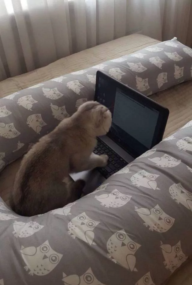 Picdump 317 - #6 