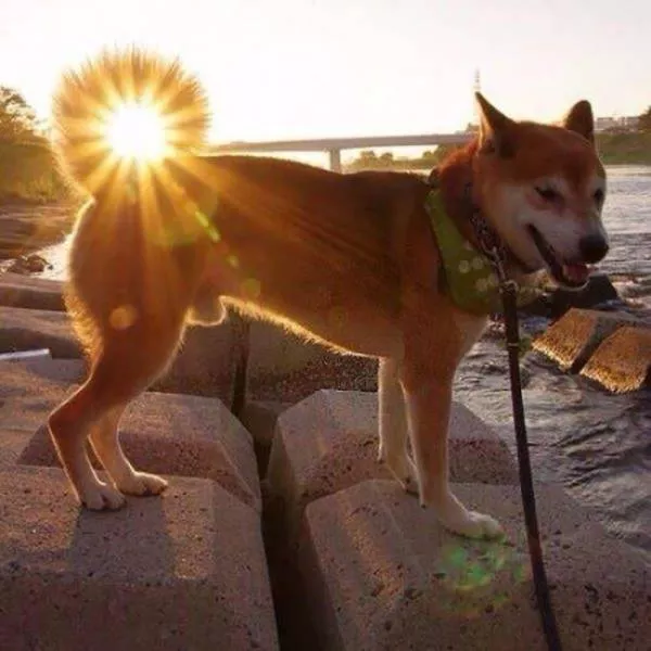 Forbidden to distracted - #13 