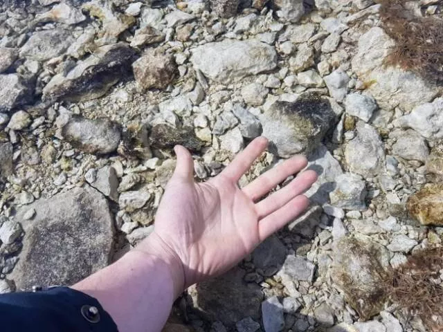 Forbidden to distracted - #18 