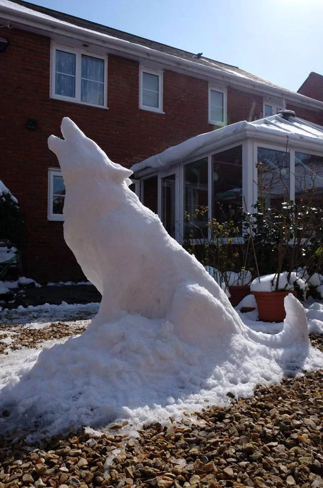 Picdump 319 - #41 