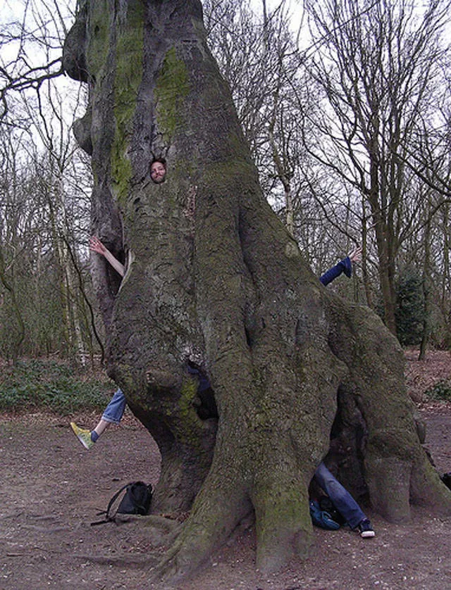 Picdump 319 - #43 