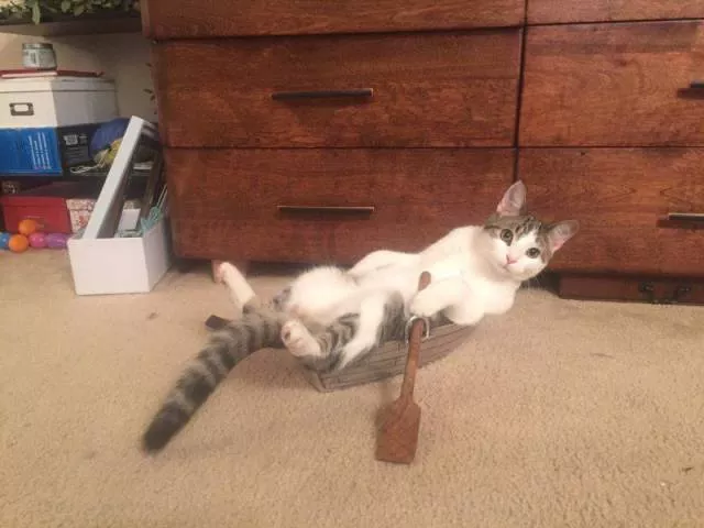 Picdump 59 - #10 