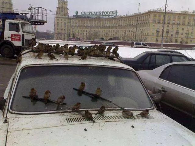 Picdump 59 - #13 