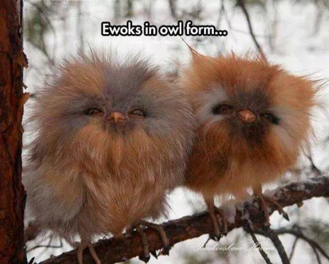 Picdump 59 - #17 