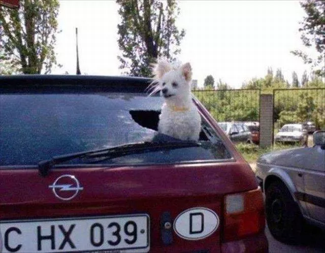 Picdump 59 - #18 