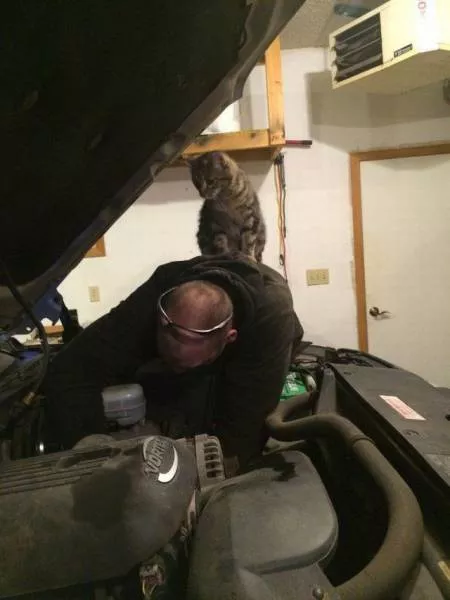 Picdump 59 - #25 