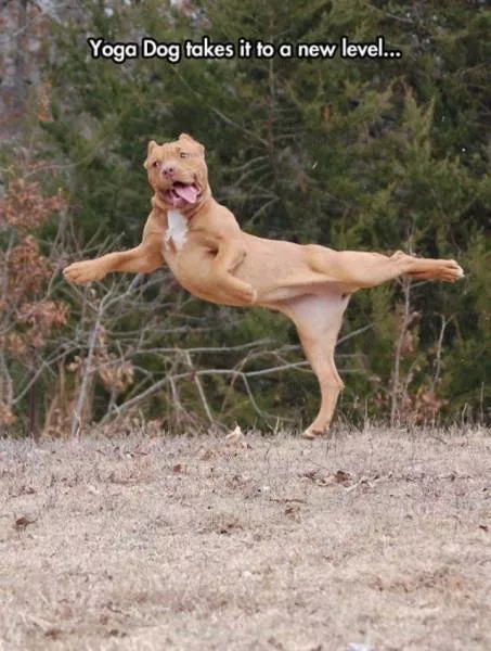 Picdump 59 - #47 