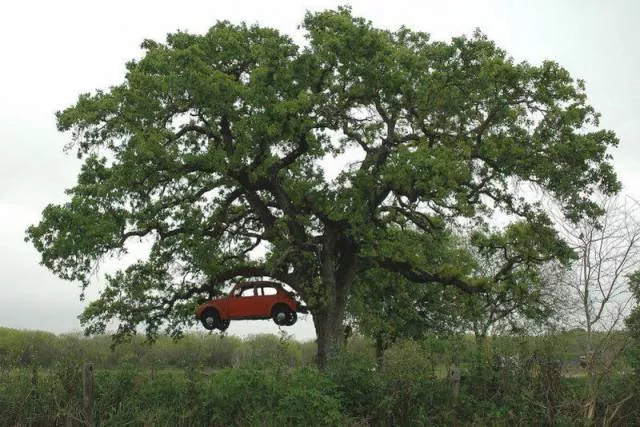 Picdump 59 - #48 