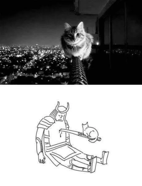 Picdump 320 - #45 
