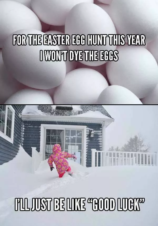 Picdump 320 - #52 