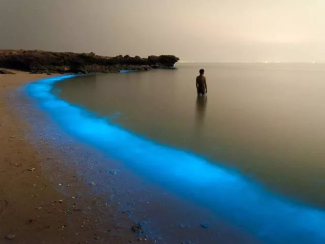 A very fantastic photo collection - #47 