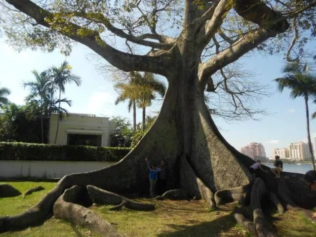 We feel dwarfs looking at these pictures - #13 